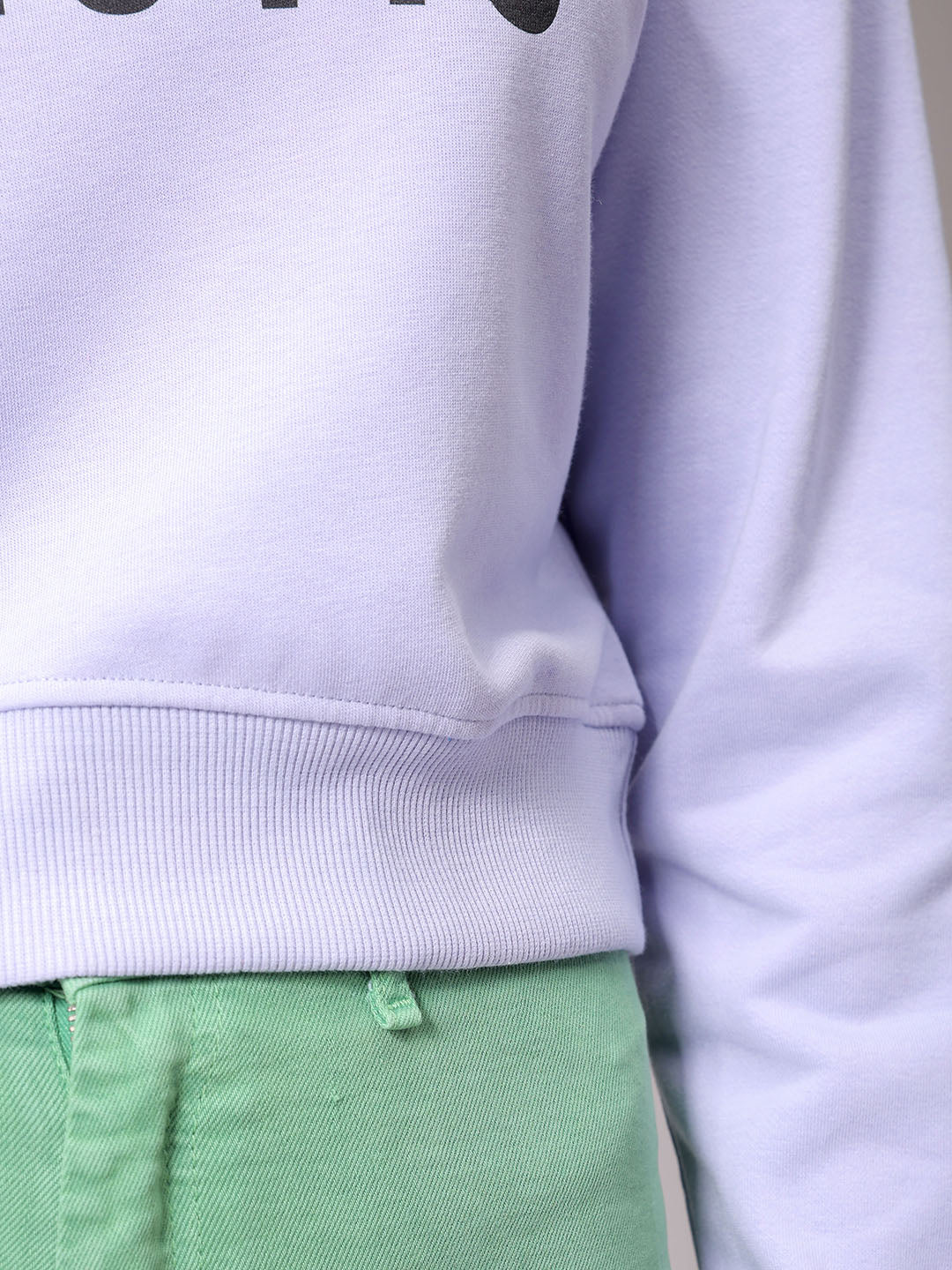 Women's Purple Relaxed Fit Typographic Cropped Sweatshirt