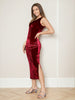 Women's Solid Velvet Dress
