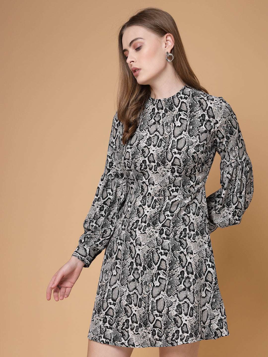 Women's Printed Dress