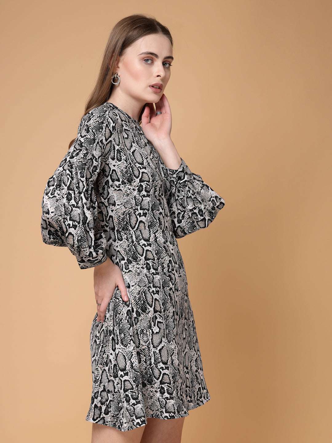 Women's Printed Dress