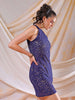 Women's Blue Fitted Lace Round Neck Bodycon Dress