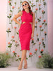 Women's Pink Fitted Textured Round Neck Cut Out Dress
