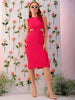 Women's Pink Fitted Textured Round Neck Cut Out Dress